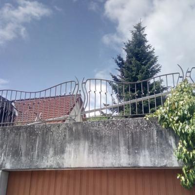 Zaun1